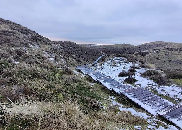 Amselweg-17-wohnung-6 Appartement *